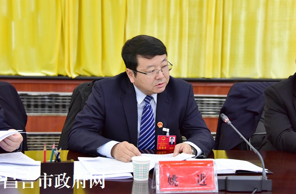 【图文】人大代表政协委员分组审议讨论政府工