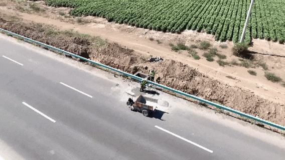 dongtu2.gif