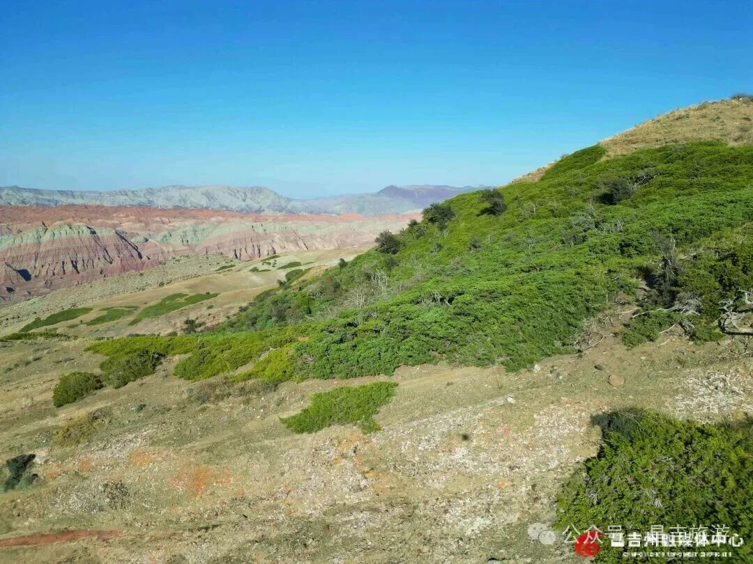 2_副本.jpg 2_副本.jpg