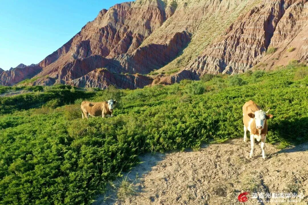 6_副本.jpg 6_副本.jpg